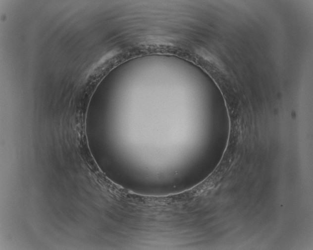 X0000062600870200512211108