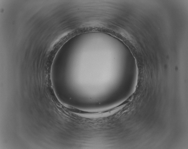 X0000062600872200512211108