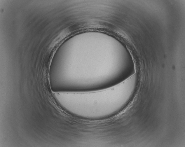X0000062600873200512211108
