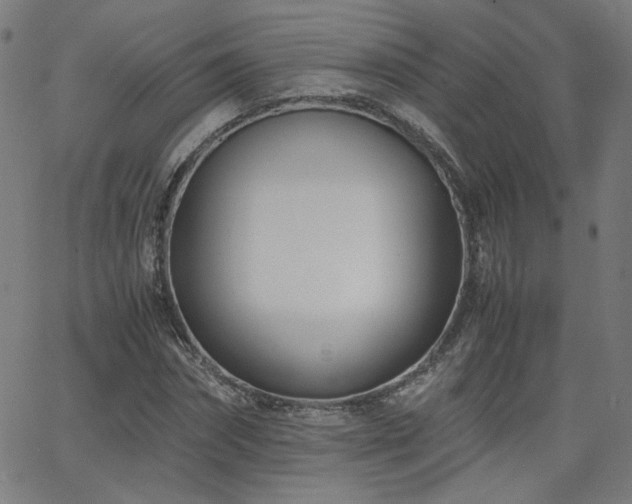 X0000062600874200512211108