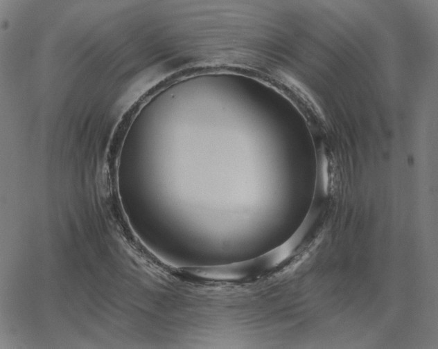X0000062600876200512211108