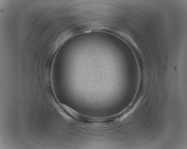 X0000062600889200512211107