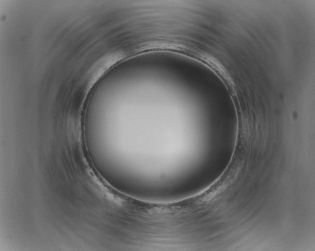 X0000062600898200512211107