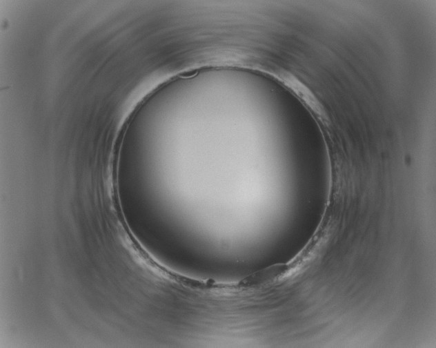 X0000062600904200512211107