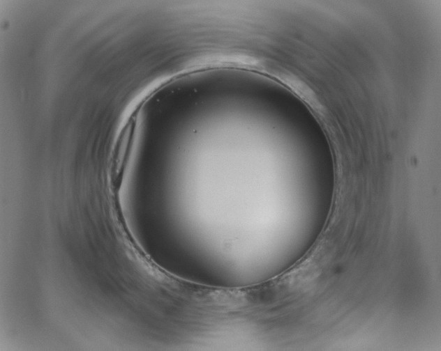 X0000062600912200512211107