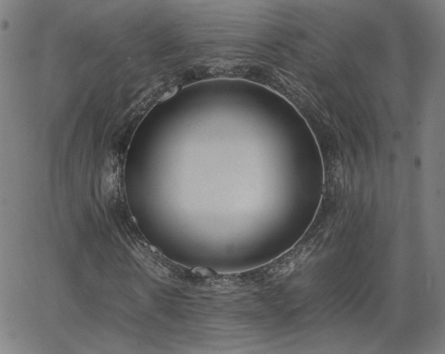 X0000062600914200512211106