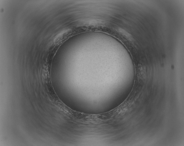 X0000062600918200512211106