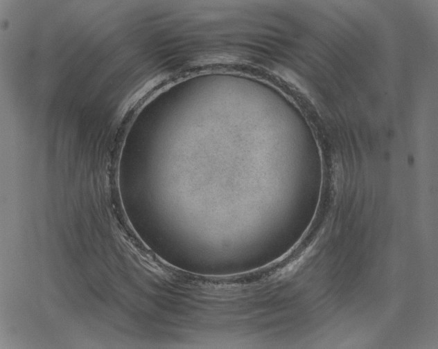 X0000062600921200512211106