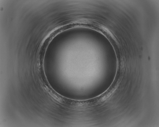 X0000062600923200512211106