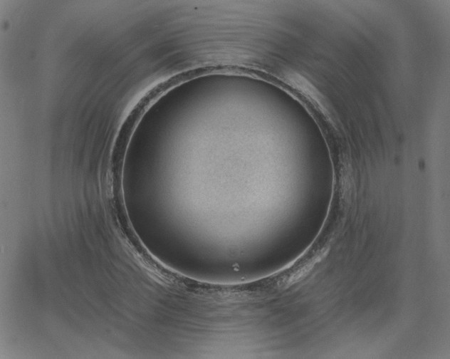 X0000062600924200512211106