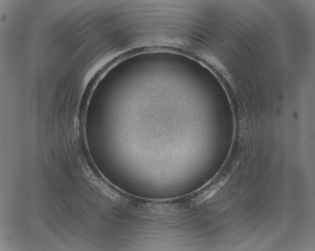 X0000062600928200512211106