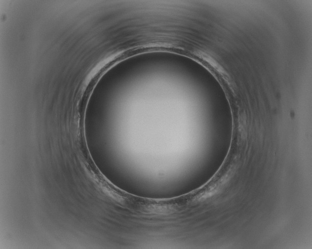 X0000062600933200512211106