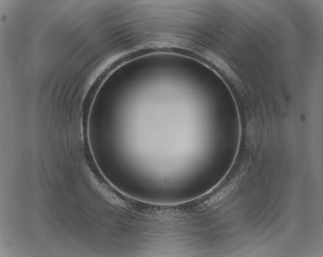 X0000062600934200512211107