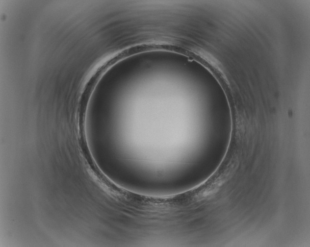 X0000062600935200512211107