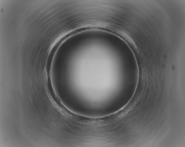X0000062600936200512211107