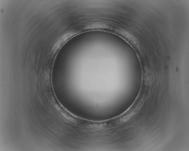 X0000062600937200512211107
