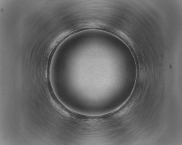 X0000062600938200512211107