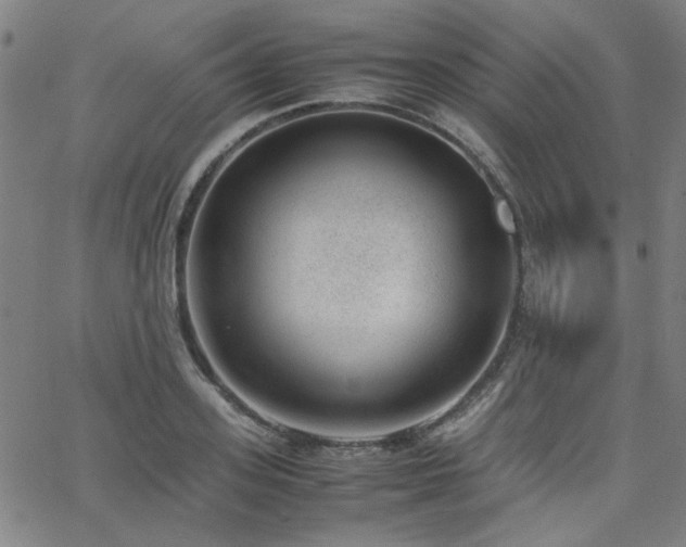 X0000062600939200512211107