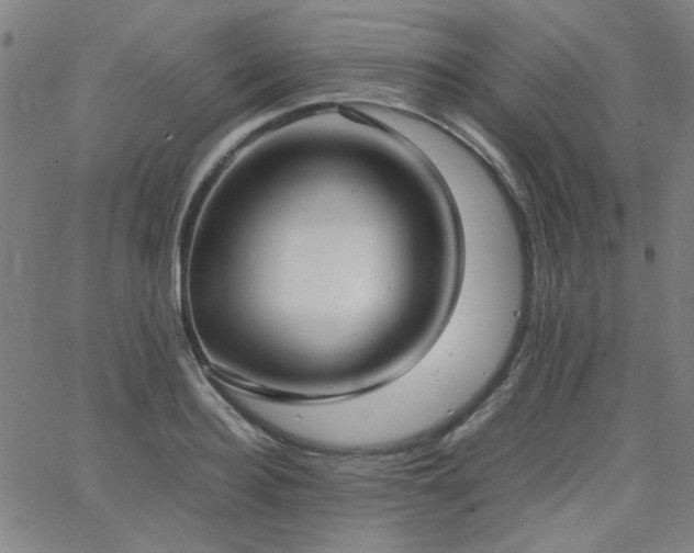 X0000062600940200512211107