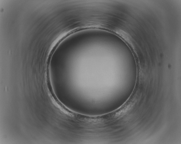 X0000062600941200512211107
