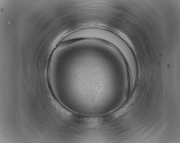 X0000062600946200512211107