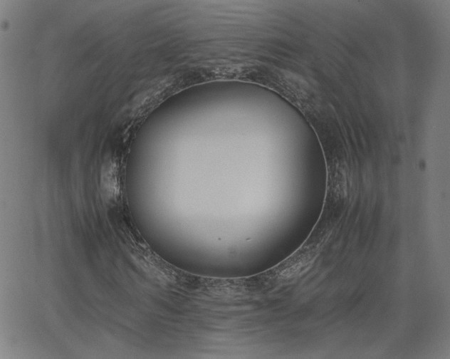 X0000062600962200512211106