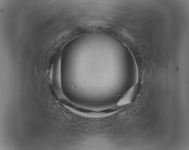 X0000062600965200512211106