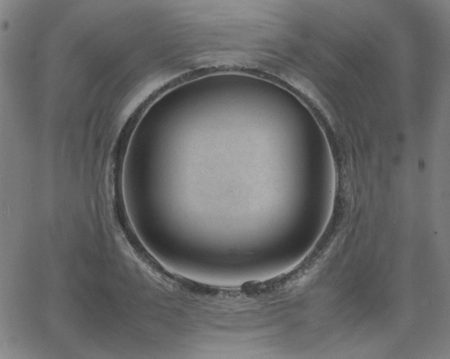 X0000062600983200512211106