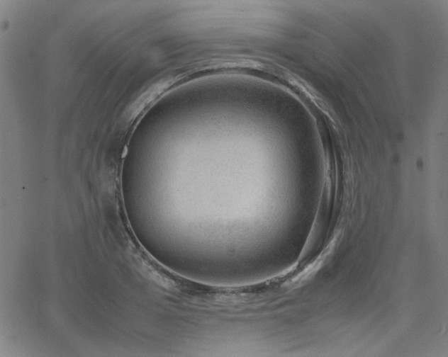 X0000062600985200512211106
