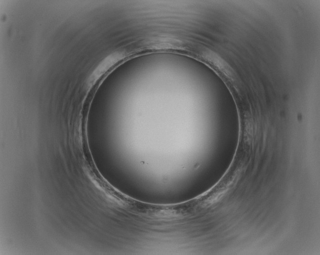 X0000062600986200512211106