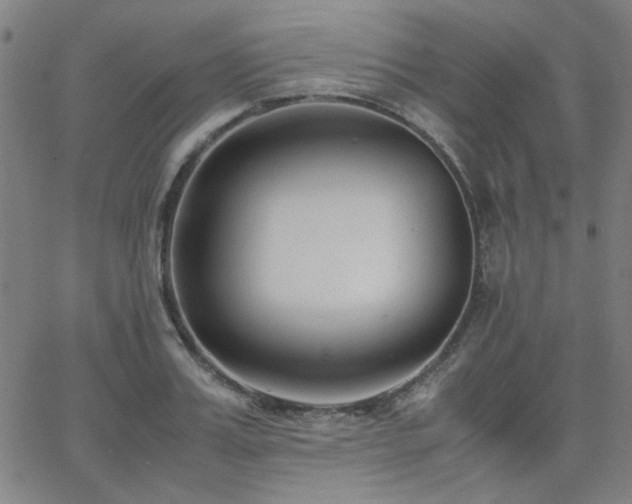 X0000062600987200512211106