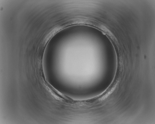 X0000062600993200512211106