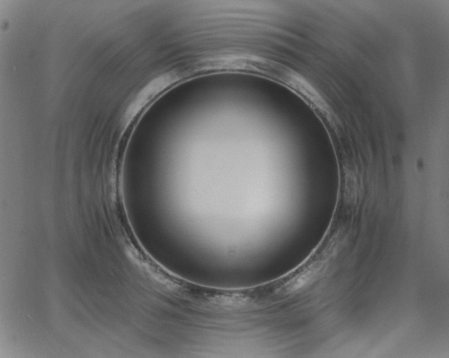X0000062600994200512211106