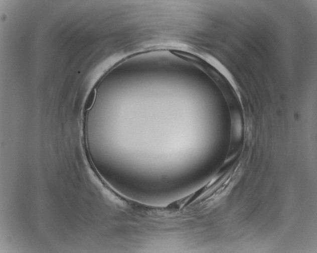 X0000062601005200512211105