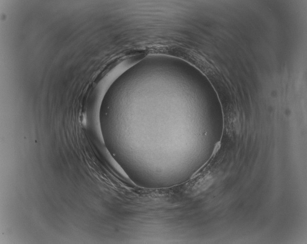 X0000062601010200512211105