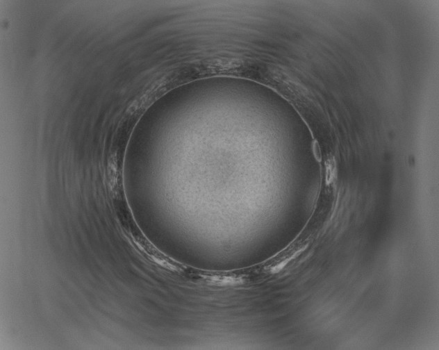 X0000062601011200512211105