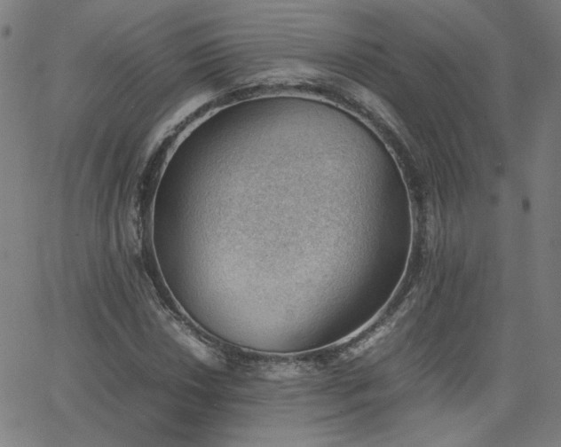 X0000062601018200512211105