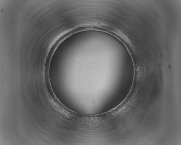 X0000062601020200512211105