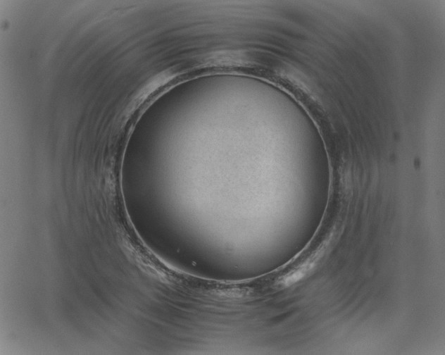 X0000062601025200512211105