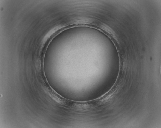 X0000062601027200512211105
