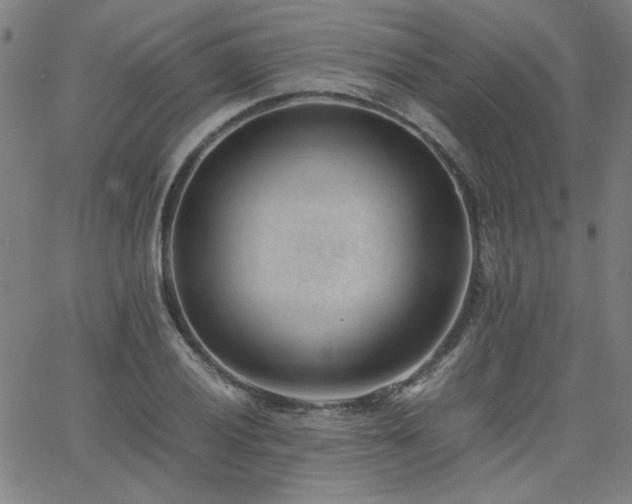 X0000062601028200512211105