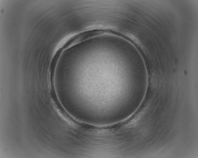 X0000062601030200512211105