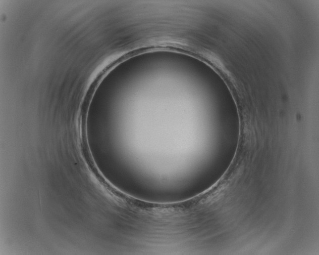 X0000062601032200512211105