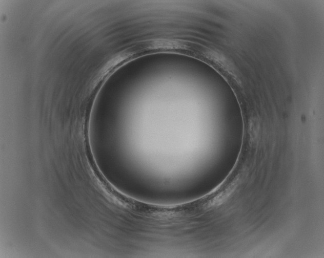 X0000062601033200512211105