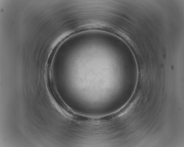 X0000062601034200512211105