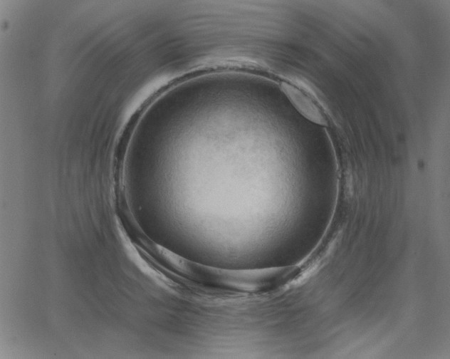 X0000062601038200512211105