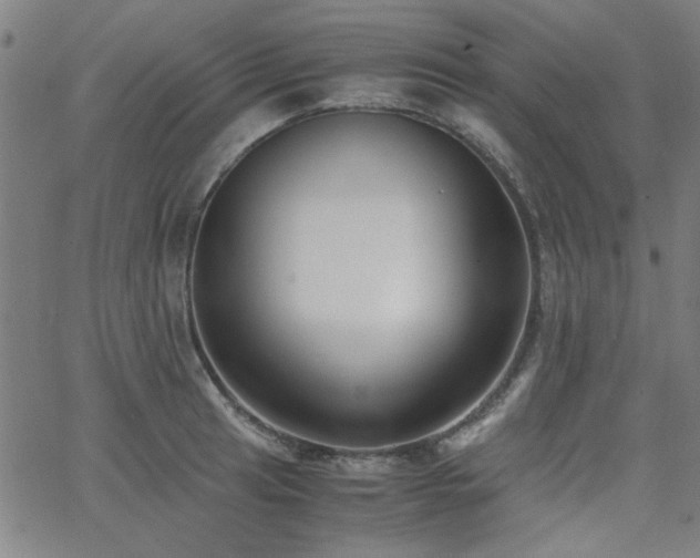 X0000062601041200512211105