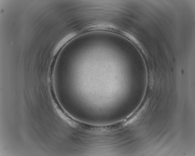 X0000062601042200512211105