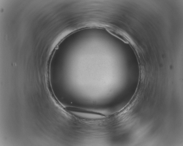 X0000062601048200512211105