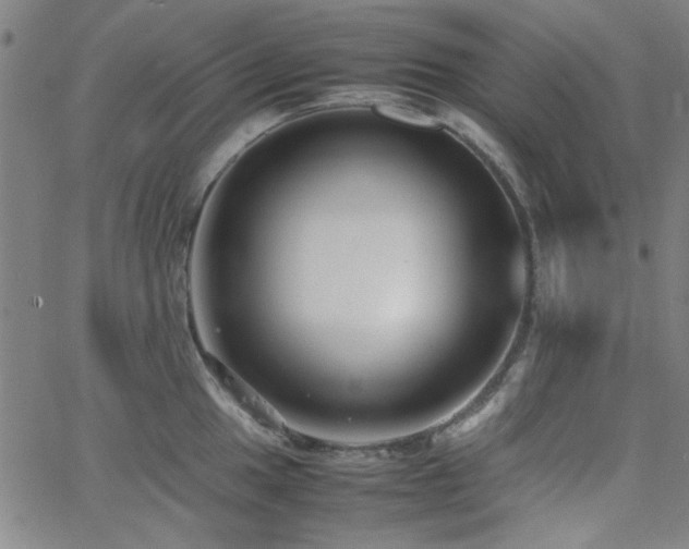 X0000062601049200512211105